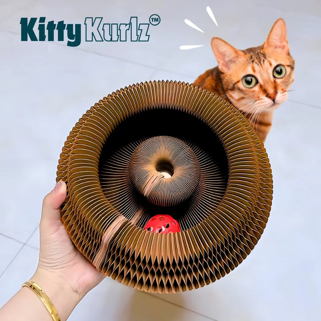 ™Kitty Kurlz-צעצוע מהפכני לגירוי פיזי ומנטלי לחתולים