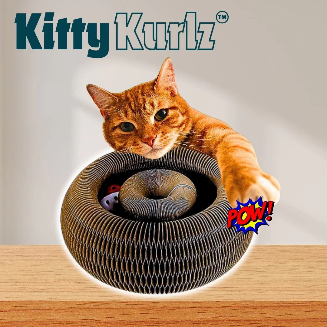 ™Kitty Kurlz-צעצוע מהפכני לגירוי פיזי ומנטלי לחתולים