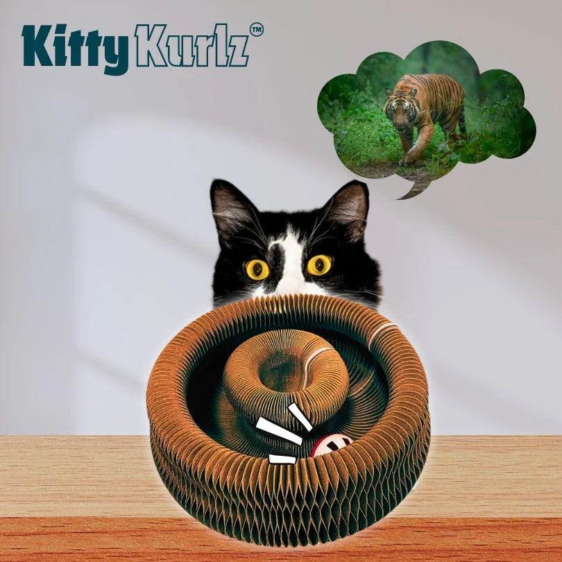 ™Kitty Kurlz-צעצוע מהפכני לגירוי פיזי ומנטלי לחתולים